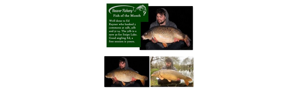 Fish of the Month March